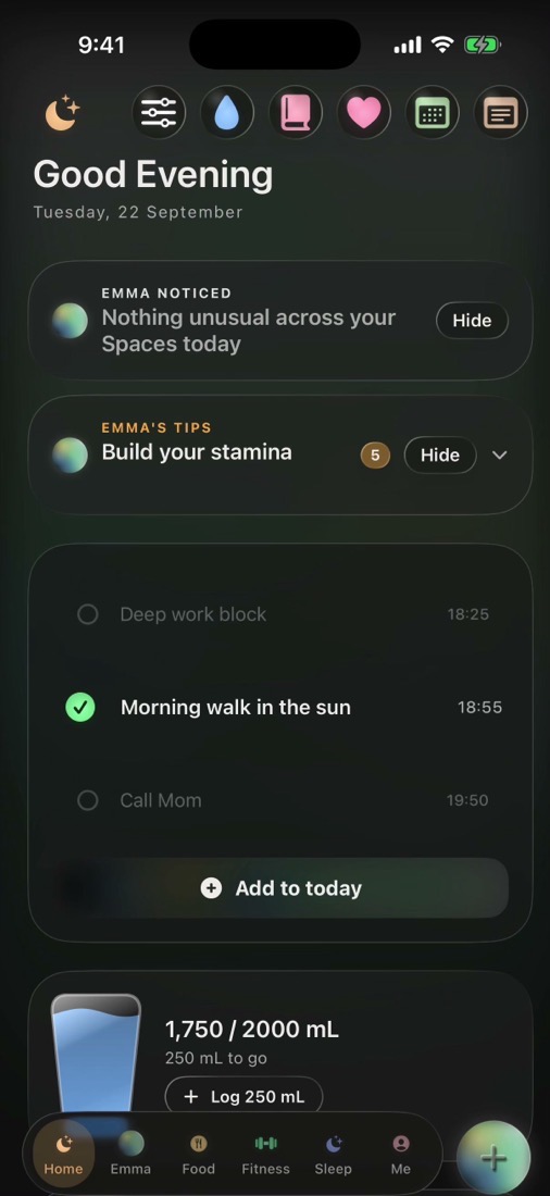 Your day